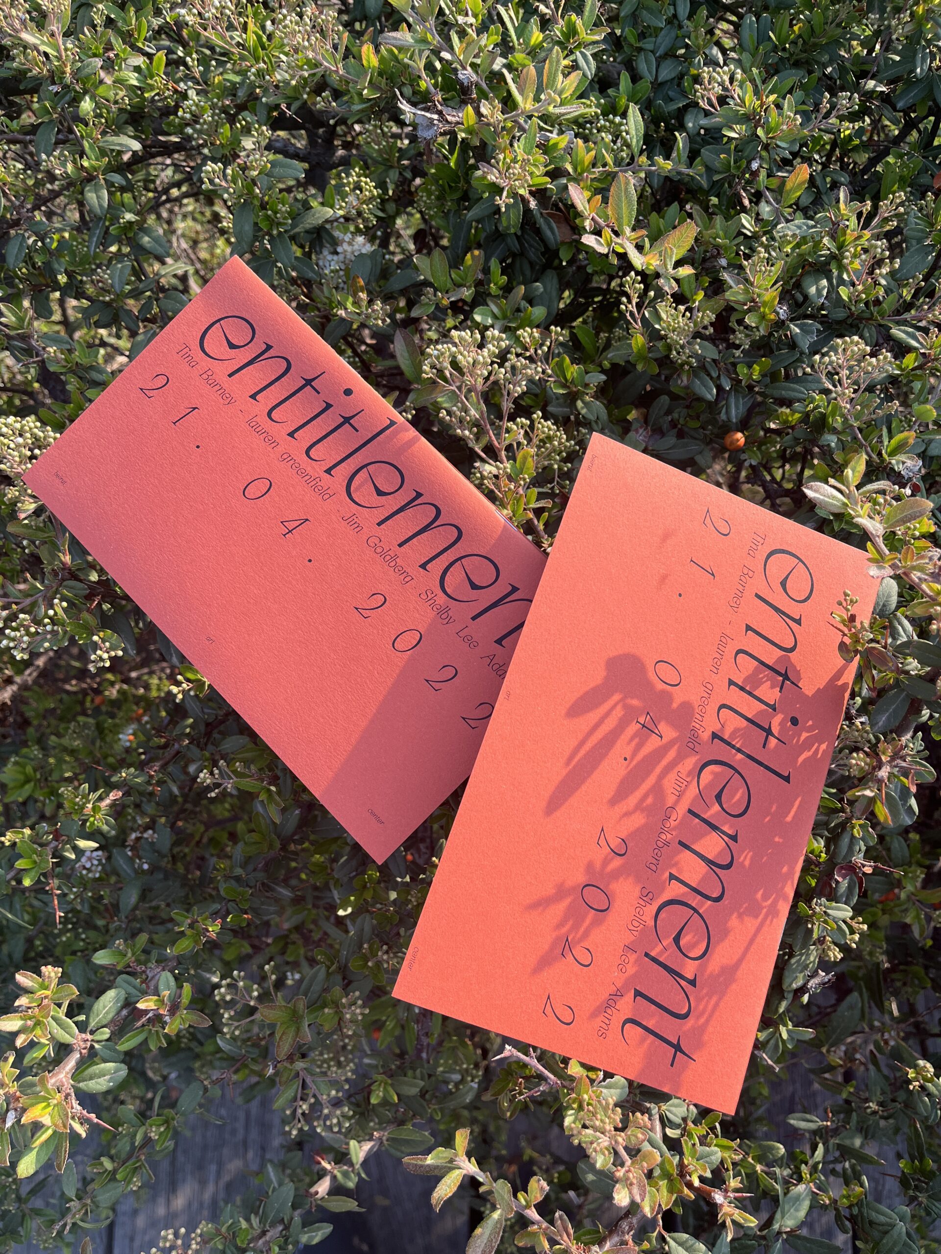 pamphlet-graphic-design-typography-exhibition-layout-photography