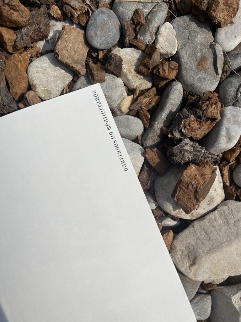 editorial-design-book-layout-typography-lettering-cover-sea-blue-print-binding