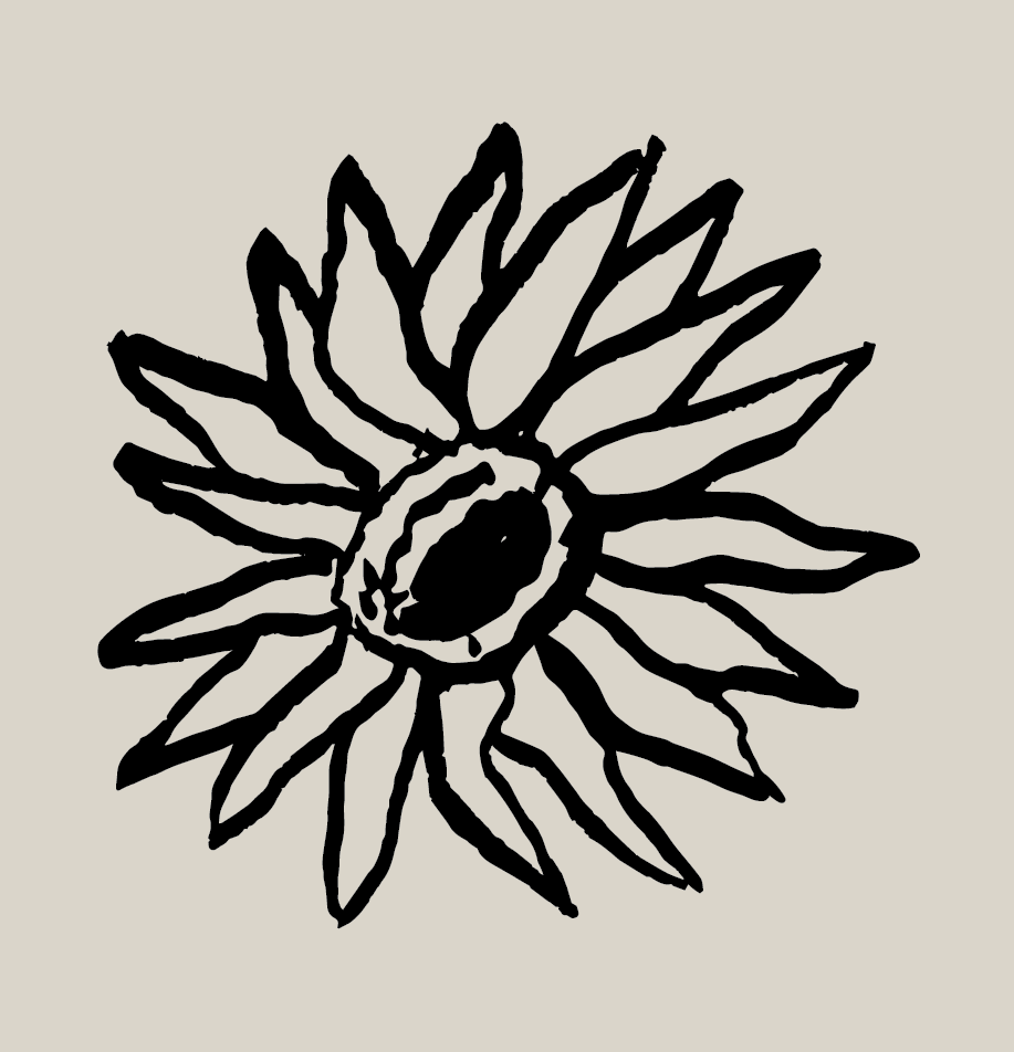 branding-visual-indentity-logo-graphic-design-buisness-cards-ceramics-color-palette-illustration