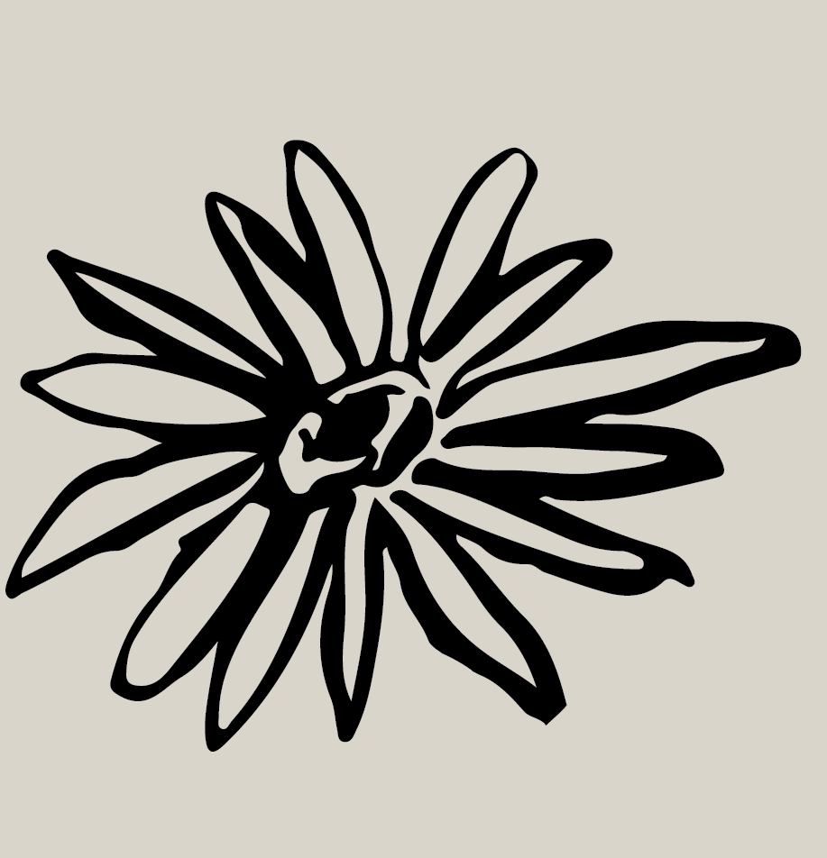 branding-visual-indentity-logo-graphic-design-buisness-cards-ceramics-color-palette-illustration